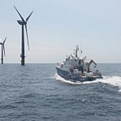 Projekt GmbH 61462413IMG 1772 250 250